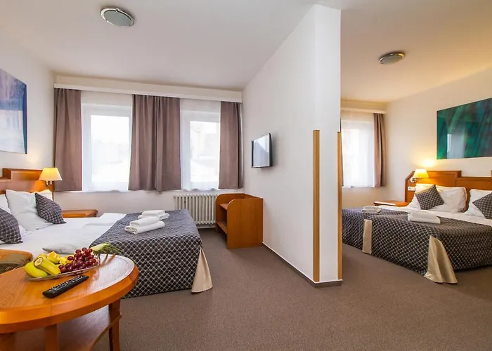 Lh Medinek Old Town 3* 库特纳霍拉